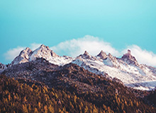 博鱼体育：与你共享每一次体育热潮的在线旅程